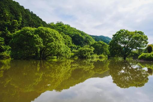 野池