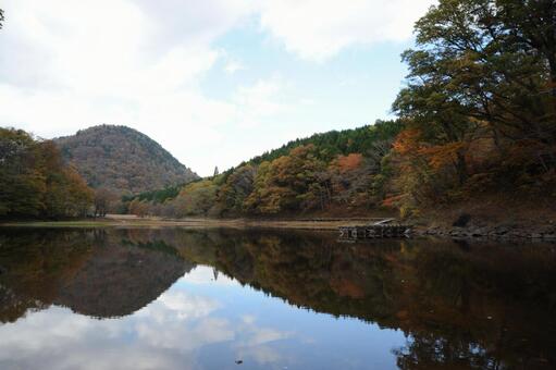 栃木県 大沼公園