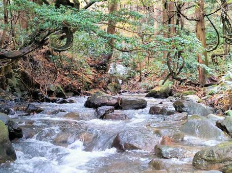 石川