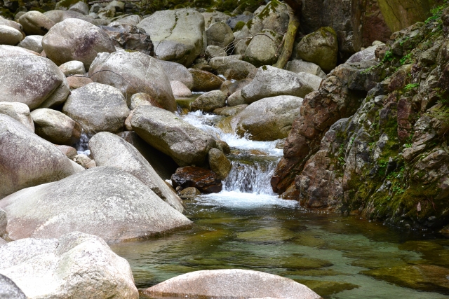 茶屋川　渓流