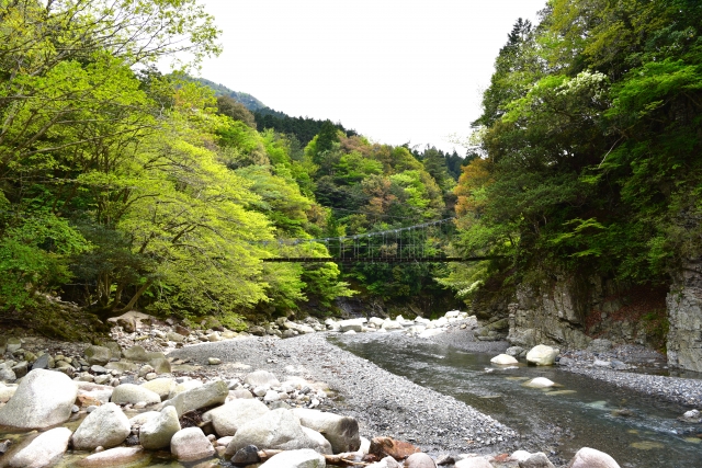 茶屋川　渓流