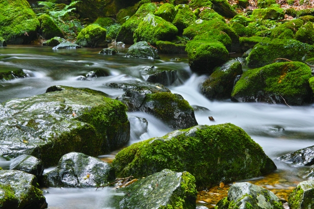 岡山　渓流