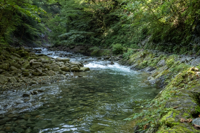 山梨　渓流