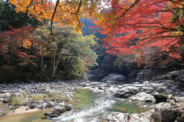 岡山　渓流