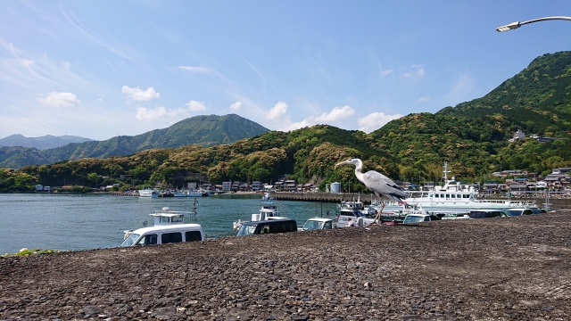 三重　堤防